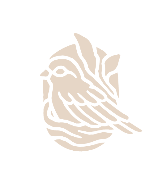 Icono del sitio